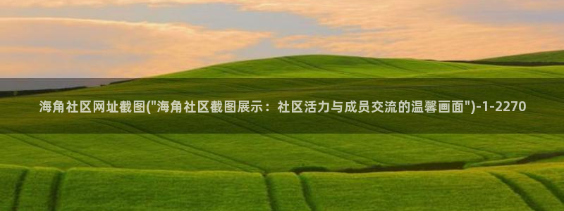 海角社区规范：海角社区网址截图(\