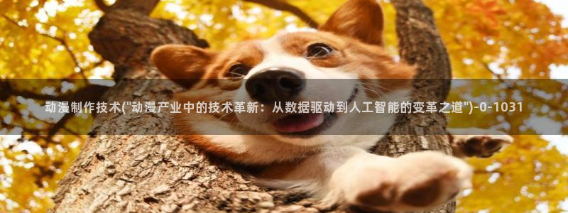 动漫排行榜