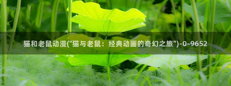 18禁动漫