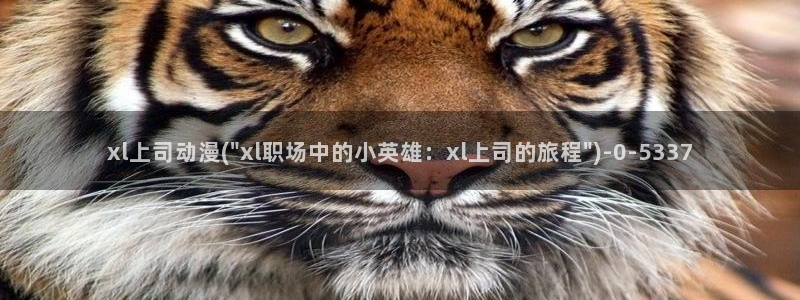全职高手动漫免费观看